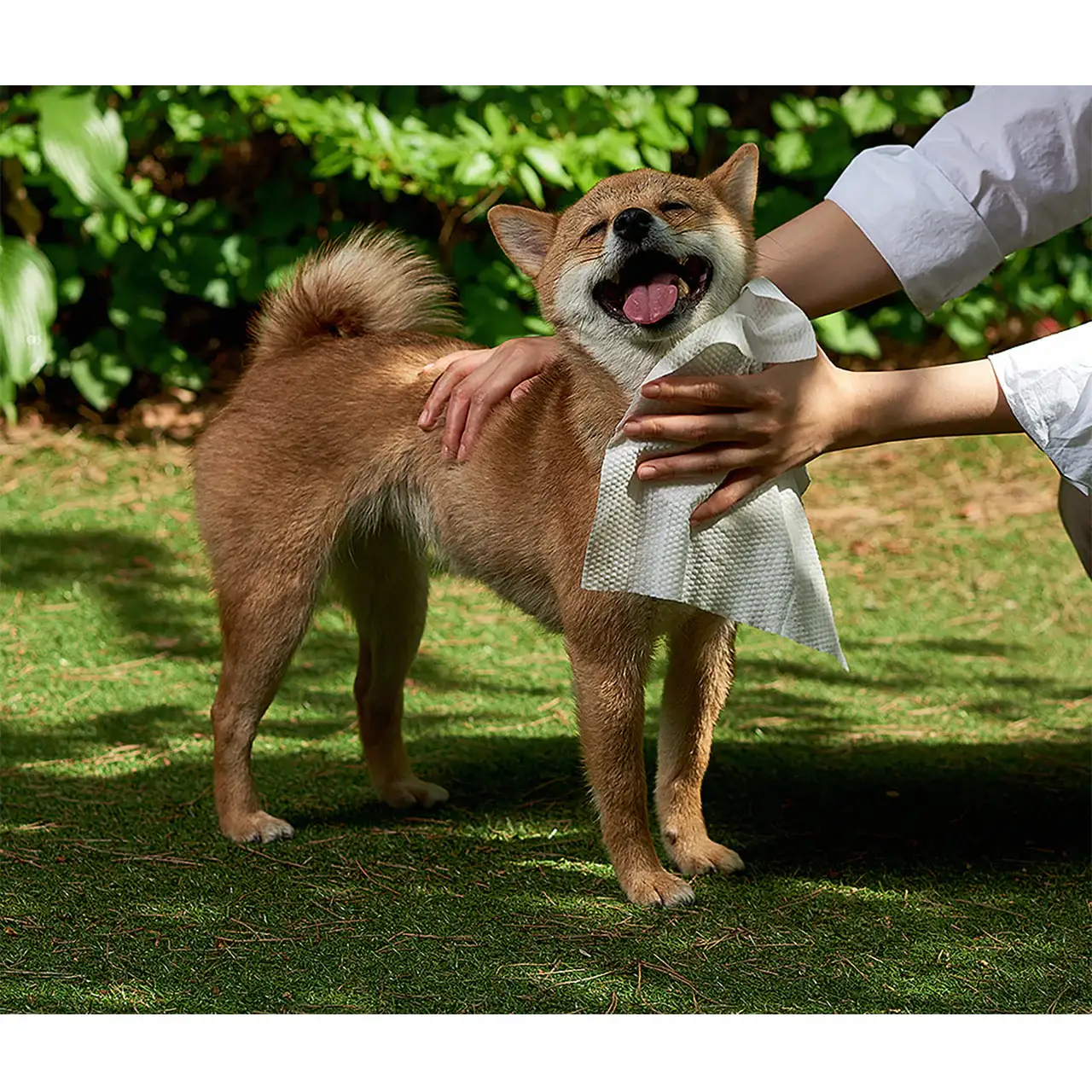 Duit - Pet Fresh Tissue