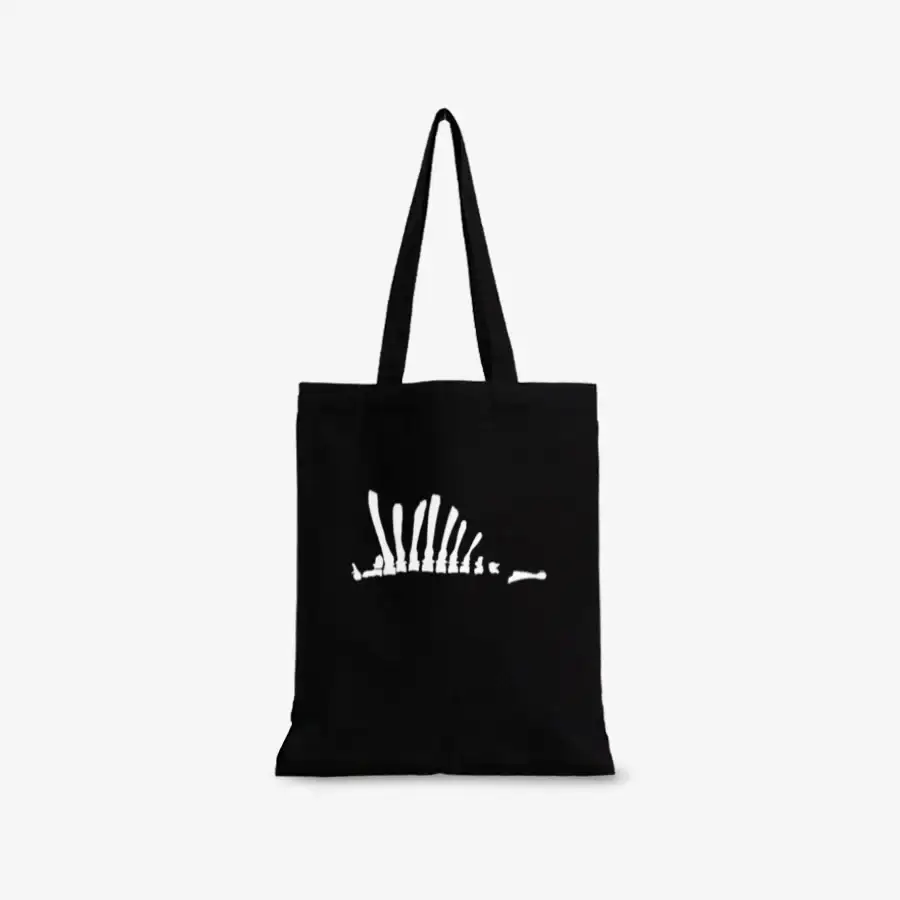 Galois - Spinosaurus Eco Bag - Image 2