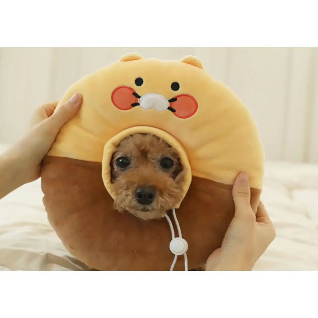 Kakao Friends - Choonsik Pet Neck Collar - Image 11