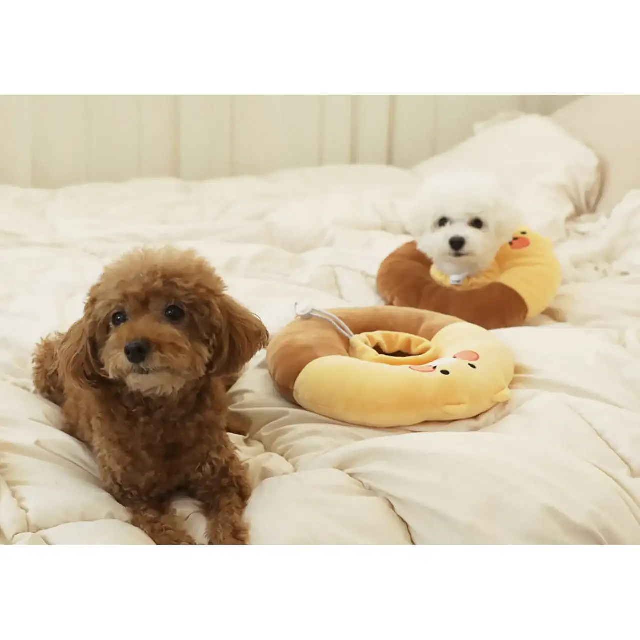 Kakao Friends - Choonsik Pet Neck Collar - Image 4