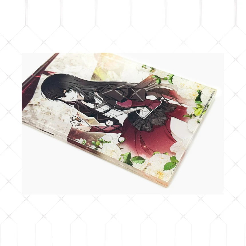 Post-Possession Damage Control - Acrylic Block - Image 2