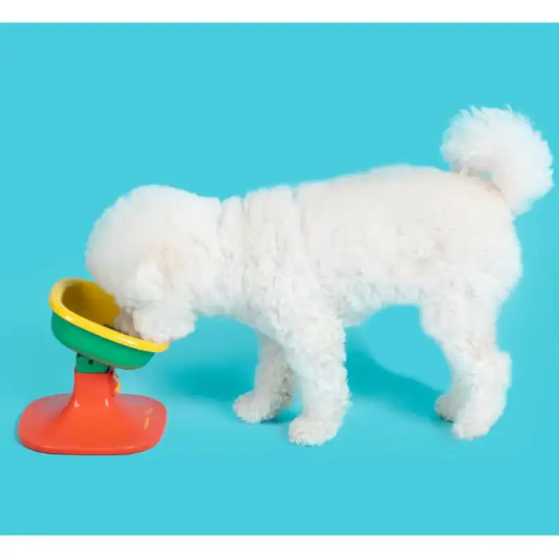Wiggle Wiggle x Pethroom - Well Fit Table & Bowl Set - Image 10