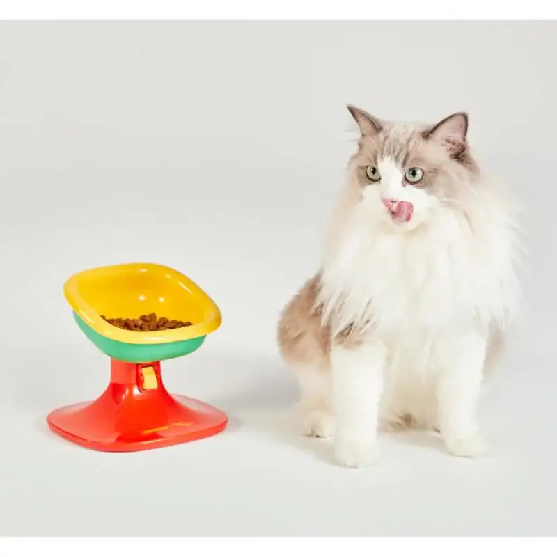 Wiggle Wiggle x Pethroom - Well Fit Table & Bowl Set - Image 12